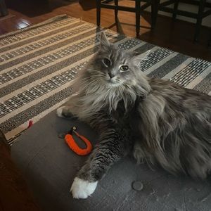 Meet your Posher, Gabby